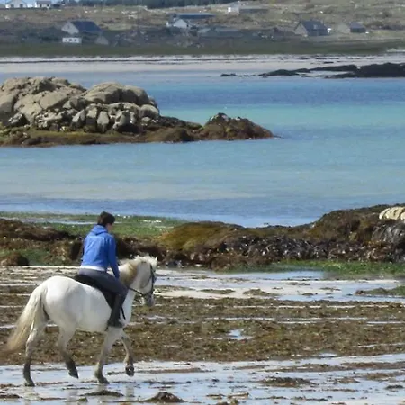 Holiday home Waterside Cottage, Cashel Galway